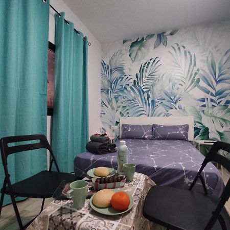 Habitacion Cactus, Entrada Privada Y Bano Privado En Suite By Flamingo House, No Fumadores 阿雷西费 外观 照片